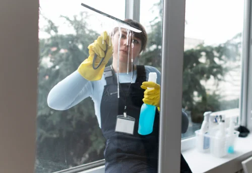 Nettoyage de vitres intérieures et extérieures aux Échelles